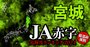 【宮城】JA赤字危険度ランキング2024、10農協中2農協が赤字転落