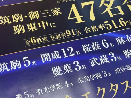 Z会エクタスの合格実績のチラシ