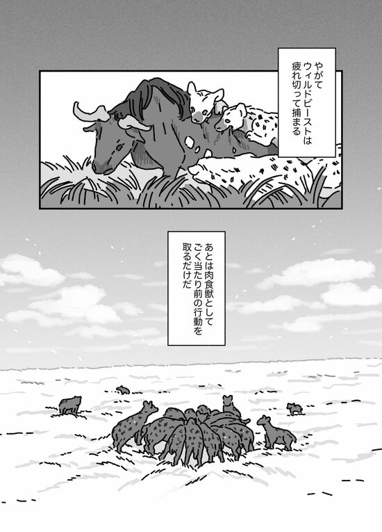 【マンガ】硬い甲羅のカメを噛み砕き、シマウマを30分で食べ尽くす…“ボーン・クラッシャー”「ハイエナ」に襲われた動物の悲劇的な最期とは