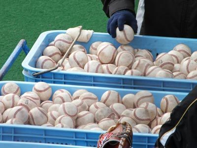 プロ野球はキャンプの季節。注目度アップに貢献しているのは、甲子園を沸かせた高卒ルーキーたちだ