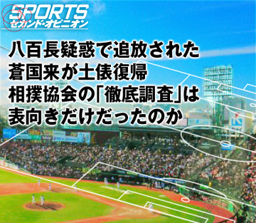 八百長疑惑で追放された蒼国来が土俵復帰 相撲協会の「徹底調査」は表向きだけだったのか