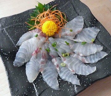 古代から高貴な人々に好まれて来た「鱸」は夏場の刺身の一番人気