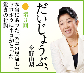 本当にあった「ネコの恩返し」。ドロボウにネコがとった驚きの行動