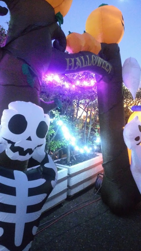 山口組のハロウィン、厳戒態勢の中ではしゃぐ子どもたち(下)