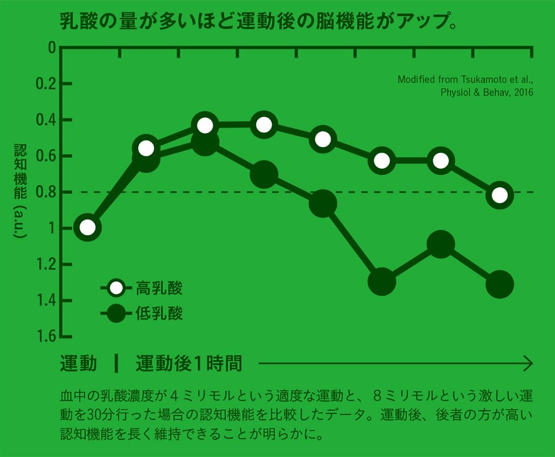 脳機能を 乳酸 がみるみる上げる ただの疲労物質ではなかった意外な事実 脳力アップ と運動の知られざる関係 ダイヤモンド オンライン