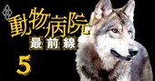 「動物病院界の孫正義になる！」全国の病院に挑戦状を送る獣医師社長の正体