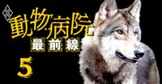 「動物病院界の孫正義になる！」全国の病院に挑戦状を送る獣医師社長の正体