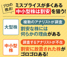 中小型株は調査するアナリストが不在