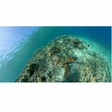 VRで「海」を学ぶ、小中学生向け教育イベントが開催