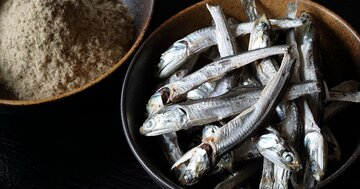 フェイスブック&グーグル創業者も大ファン!?「すごい!煮干ラーメン」で売上13倍、利益70倍にしたカリスマ社長の告白