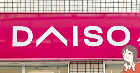 カードや診察券が40枚入った…！ダイソーの「ぺたんこ財布」現金やカードをコンパクトに持ち歩けて嬉しい！