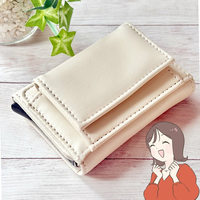 ミニ財布にピッタリじゃん！3COINSの“天才カードケース”サッと取り出せて感動…！「最低限のカード、現金が入ります」「めっちゃいいです」