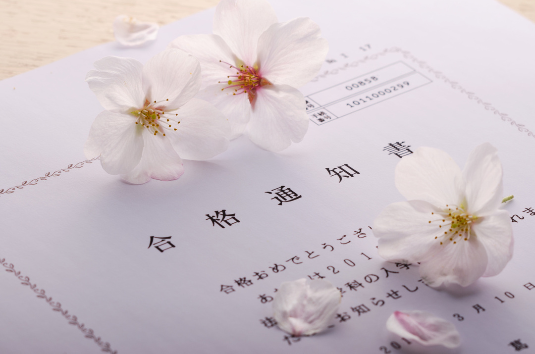 子供から「忖度」されてませんか――?<br />イマドキの大学生と大学受験 傾向と対策2019
