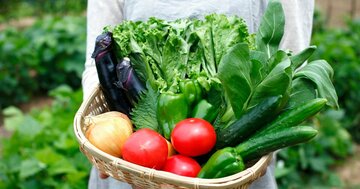 【レシピ本には書けなかった!】藤井恵さんの生野菜サラダより簡単な食べ方