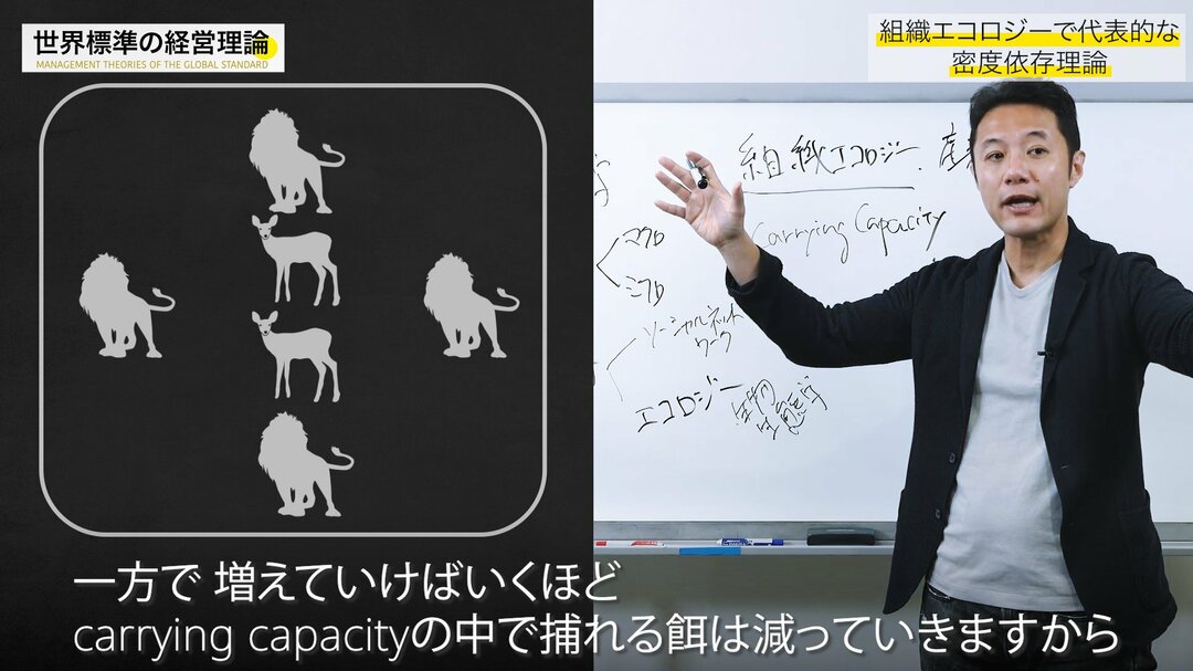 入山#28_5