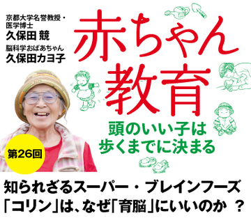 知られざるスーパー・ブレインフーズ「コリン」は、なぜ「育脳」にいいのか ?