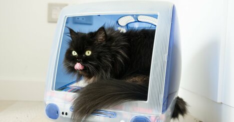 【花形ビジネスの終焉】事業売却で巻き起こった社内からの批判