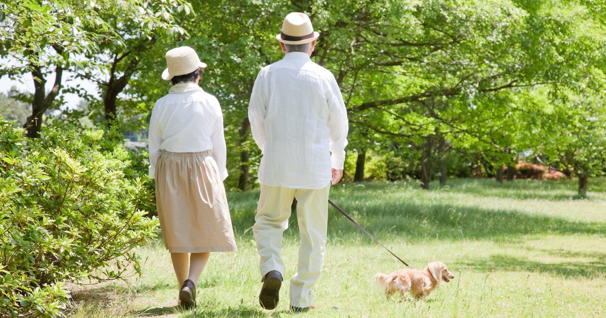 「アルツハイマー病になりにくい人」は1日どのくらい歩いている？【高齢者300人を14年間追跡調査】