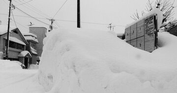 「高市1強」は実現するか、創価学会票が見通せない、想定外の衆院選の行方