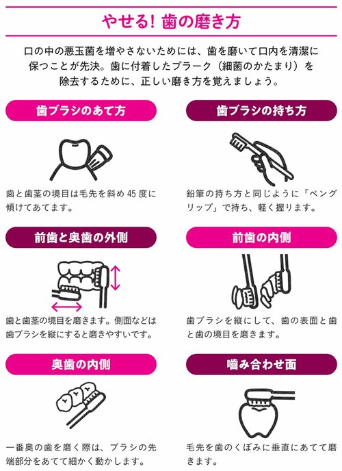 図表：やせる！歯の磨き方