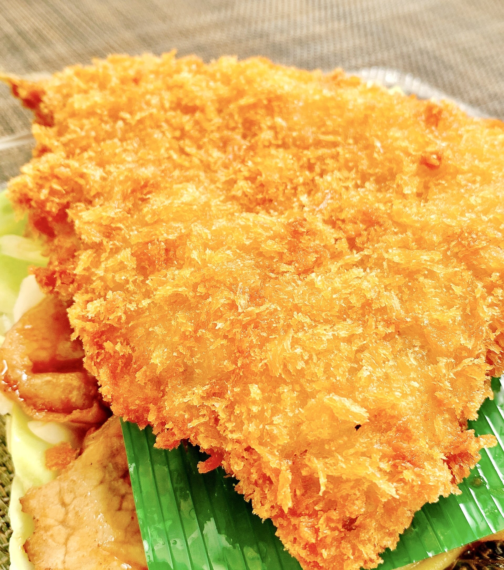 「やるじゃん!」「本当に世界一うまい」ほっともっとの“よくばりすぎる弁当”おかず2種盛りでまんぞく感がスゴい!「アツアツでした」