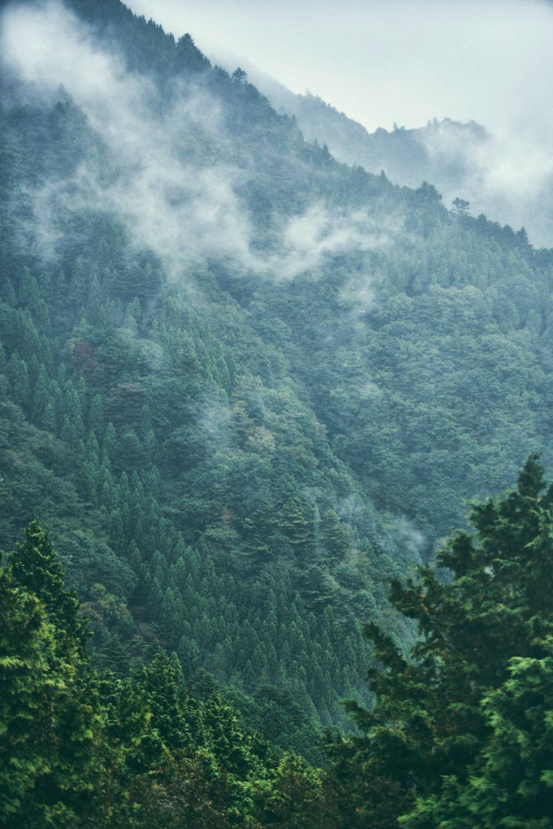 霧に煙る雨降山