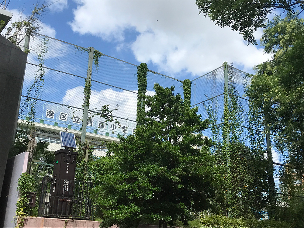 中学受験は小学校の「学区選び」から始まる!【「千代田・中央・港」都心3区の攻防】