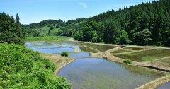 みどりの食料システム戦略　第2回：ビジネスの現場で、もう始まっている「農と食の未来」