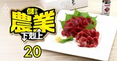 熊本の馬肉工場が3度の危機から不死鳥的復活を果たせた理由、鍵は「スピード解体58分」