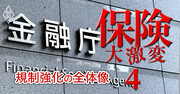 保険会社＆乗り合い代理店社員必読！業務が大激変する法改正とルールの中身【論点一覧表付き】《再配信》