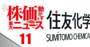 住友化学が過去最悪の巨額赤字！株価反転に不可避の「3大リストラ策」の大本命《Editors&apos; Picks》