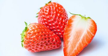 イチゴのつぶつぶは種じゃない…では何?子どもと読みたい、「種」の面白い話