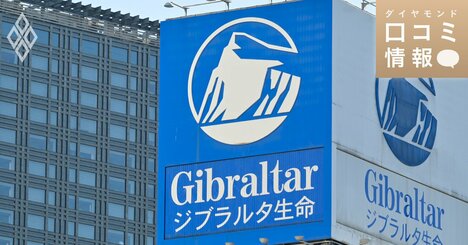 ジブラルタ生命保険の50代前半、ITエンジニアの年収は？【5000件の口コミ情報データ】