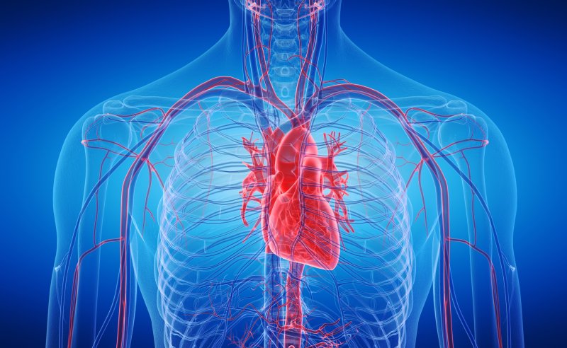 昔から人類が超疑問だった「大きな謎」…「心臓」は、なぜ絶えず動き続けられるのか？