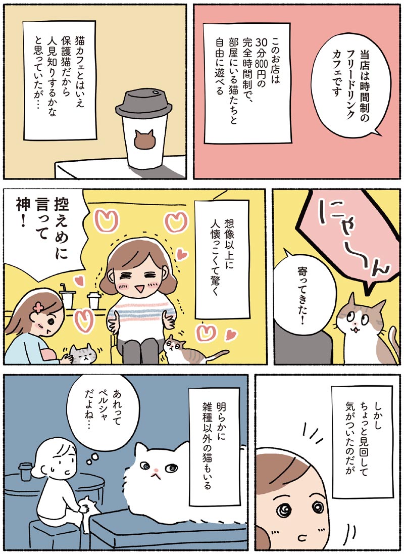 マンガ 子猫人気の裏で選ばれない命 私が保護猫を引き取った理由 News Amp Analysis ダイヤモンド オンライン