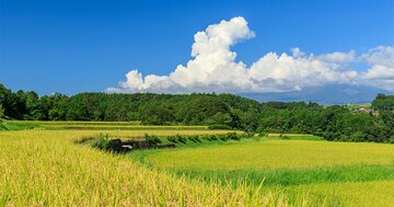 「自由貿易を推進する」と言いながら、どうごまかすか?各国が躍起になるワケ