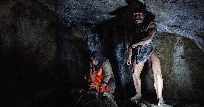 ネアンデルタール人の遺伝子がコロナ重症化の原因 リスク3倍、東アジアとアフリカはほとんどなし