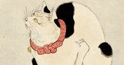 【「光る君へ」の猫が話題】平安時代の天皇たちが猫を溺愛した切ない理由