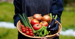 【旬の野菜をとびきりおいしく】藤井恵さんが教える、火を使わずおいしい「なす」の食べ方