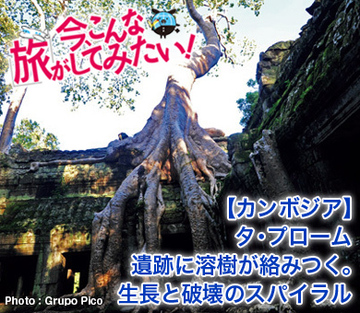 【カンボジア】タ・プローム遺跡に溶樹が絡みつく。生長と破壊のスパイラル