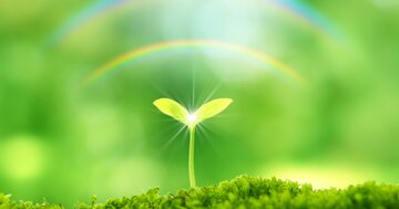 【要注意】自分の「強みの種」をつぶしてしまう“思い込み”3選とその外し方