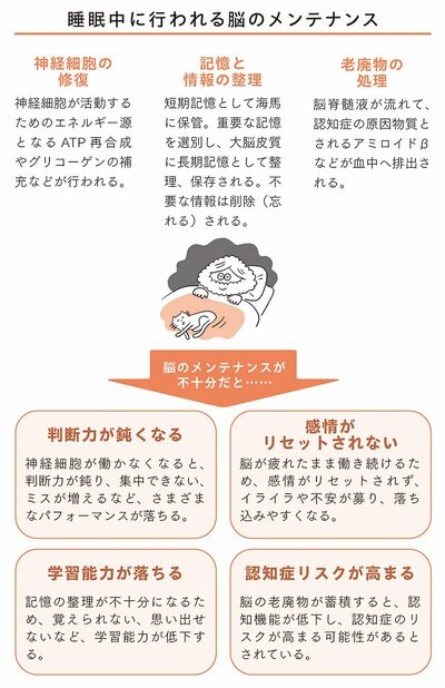 図表　睡眠中に行われる脳のメンテナンス