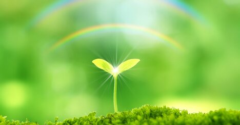 【要注意】自分の「強みの種」をつぶしてしまう“思い込み”3選とその外し方