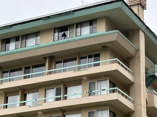 鬼怒川温泉の廃墟ホテル群が暗示する「インバウンド依存」の観光地の末路