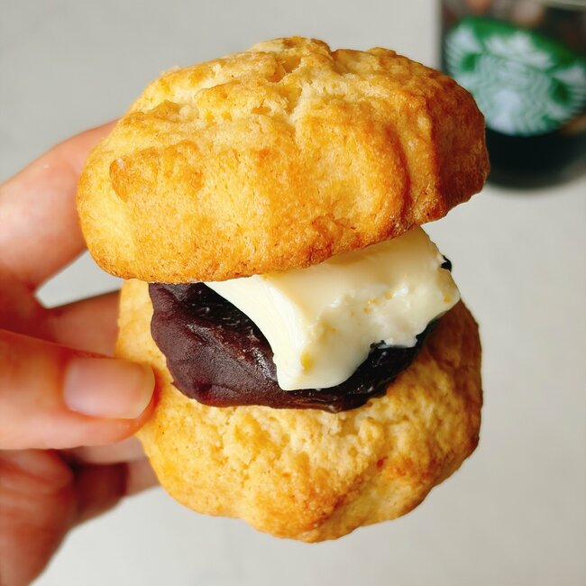 「2日連続で食ってる」「めっちゃ好き」スターバックスの“幸せの塊みたいなスイーツ”ひと口の満足度がえげつない！「美味しすぎて神の食べ物」
