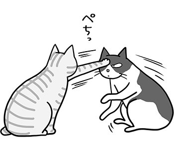 猫から人間の皆さまへ。人間が猫にときどき押し付けてくる嫌なこと4つ