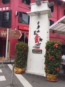 街中で見かけたみかんの木