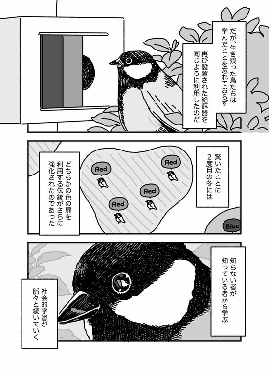 【マンガ】洞窟で冬眠から目覚めたばかりのコウモリの頭蓋骨をクチバシで破り、汁気の多い脳を食べる「すごい鳥」とは？