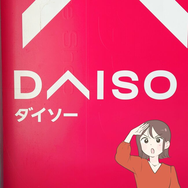 カードや診察券が9枚入った!ダイソーの「首にかけれるミニ財布」お会計がスムーズにできて嬉しい…!