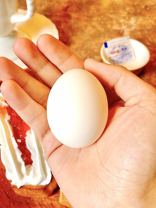 「企業努力が凄すぎる」びっくりドンキーの“ホイップたっぷりモーニング”520円でコーヒーおかわり自由はうれしい!「びっくらこいた。全ての完成度が素晴らしい」「飛び抜けて美味い…」